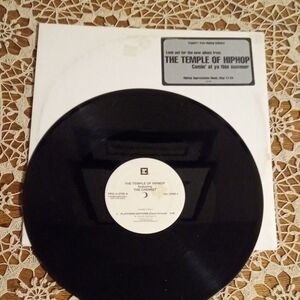 The Temple of Hip Hop Vinyl Record - Black